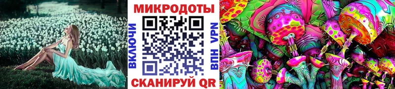 купить наркотики цена  Баксан  Галлюциногенные грибы прущие грибы 